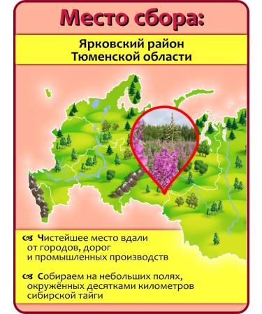 IVAN-TEA NIKOLA Ivan tea whole leaf with rose hips 100 g - Buy Online on GoSupps.com