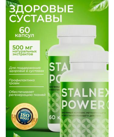 Stalnex Power The joints for the joints of Stalnex Paver 2pcs