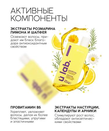 URAL LAB Professional shampoo for weakened hair. Strengthening - Buy Online on GoSupps.com