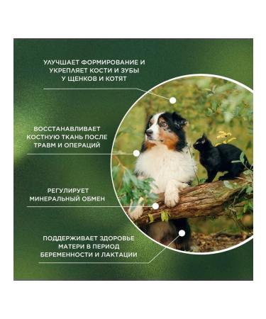 ProPhyto Osteoplus 40 tablets - Buy Online on GoSupps.com