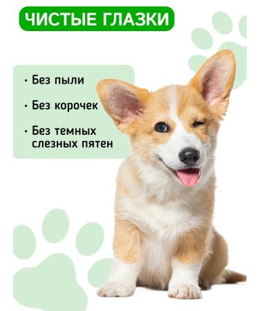 Eye drops for cats and dogs from conjunctivitis 20 ml - Buy Online on GoSupps.com