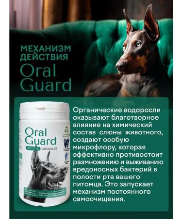 Smiley's OralGuard Gran Anti-tartar and plaque vitamins for dogs - Buy Online on GoSupps.com