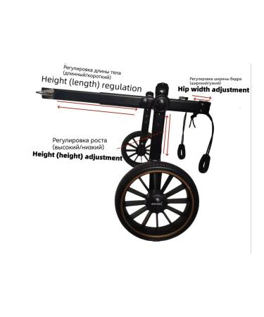 Rehabilitation wheelchair for large dogs - Buy Online on GoSupps.com