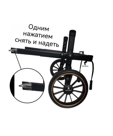 Rehabilitation wheelchair for large dogs - Buy Online on GoSupps.com