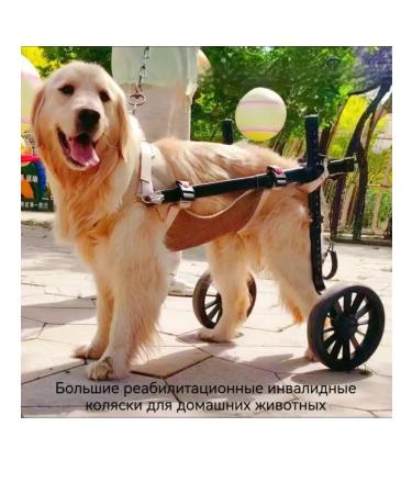 Rehabilitation wheelchair for large dogs - Buy Online on GoSupps.com