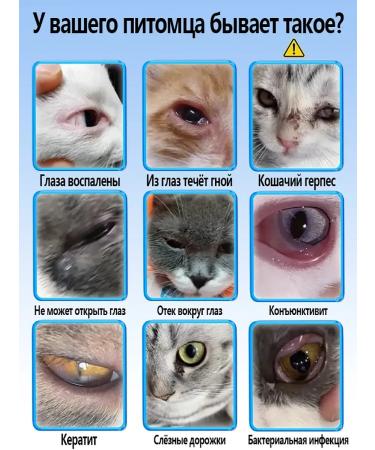 Eye drops for dogs and cats Quick treatment 60ml - Buy Online on GoSupps.com