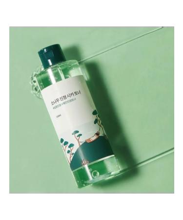 round lab Pine Pine Calming Cica Pine Extract - Buy Online on GoSupps.com