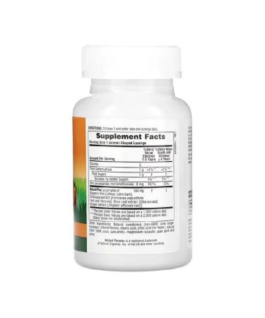 Animal Parade Zinc for children Taste mandarin 90 loafers - Buy Online on GoSupps.com
