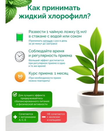 FOR A HEALTH Chlorophyll liquid for weight loss of mint - Buy Online on GoSupps.com
