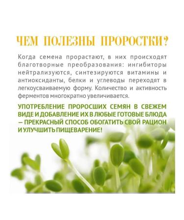 Altai lifestyle Altai wheat for healthy dishes and germination - Buy Online on GoSupps.com