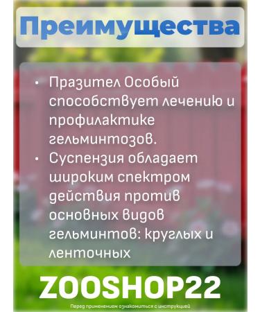 Astrapharm Prazitel Special anthelmintic suspension for dogs weighing 5-25 kg 10 ml - Buy Online on GoSupps.com