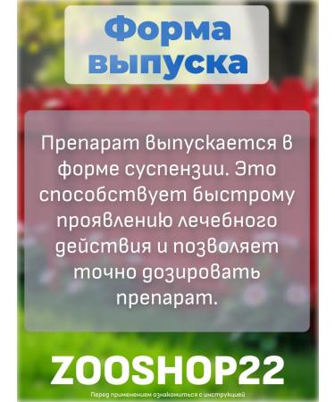 Astrapharm Prazitel Special anthelmintic suspension for dogs weighing 5-25 kg 10 ml - Buy Online on GoSupps.com