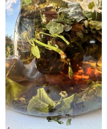 Manual magic Herbal Magic Infinable Life Life Fit 15 Sasha - Buy Online on GoSupps.com