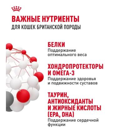 Royal Canin Dry food for adult cats of a British short -haired - Buy Online on GoSupps.com