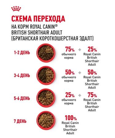 Royal Canin Dry food for adult cats of a British short -haired - Buy Online on GoSupps.com
