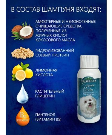 BioGroom Super White shampoo - Buy Online on GoSupps.com