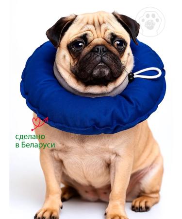 Brave heart Soft collar for dogs l