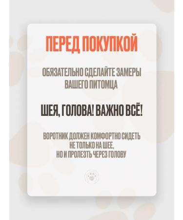 Brave heart Soft collar for dogs l - Buy Online on GoSupps.com