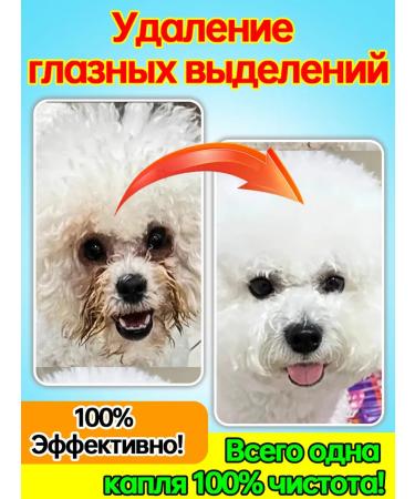 Eye drops for dogs from lacrimal paths 60ml