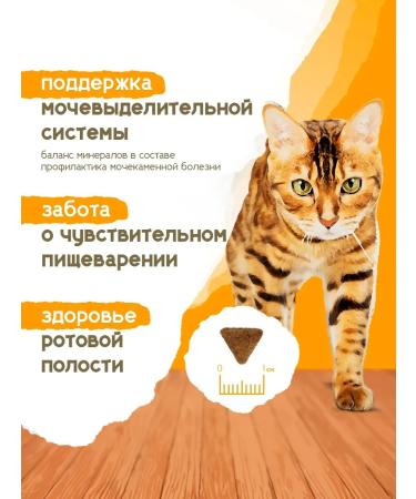 Formula Natural Dry food for cats sterilized and castrated 80g - Buy Online on GoSupps.com