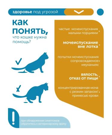 Formula Natural Veterinary diet for cats and cats at ICD 80 gr - Buy Online on GoSupps.com