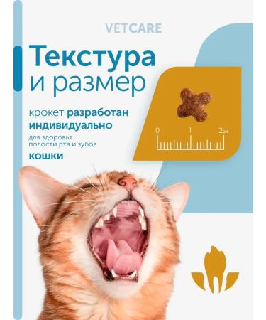 Formula Natural Veterinary diet for cats and cats at ICD 80 gr - Buy Online on GoSupps.com