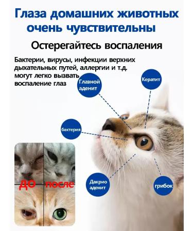 Drops for the eyes for cats and dogs 60ml - Buy Online on GoSupps.com