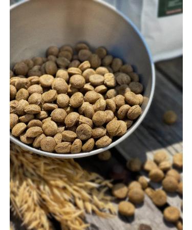 Dog feed 12 kg Fish beef Maxi Adult 25% - Buy Online on GoSupps.com