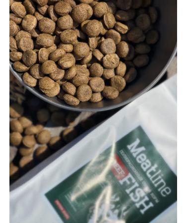 Dog feed 12 kg Fish beef Maxi Adult 25% - Buy Online on GoSupps.com