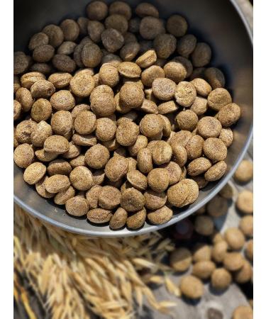 Dog feed 12 kg Fish beef Maxi Adult 25% - Buy Online on GoSupps.com