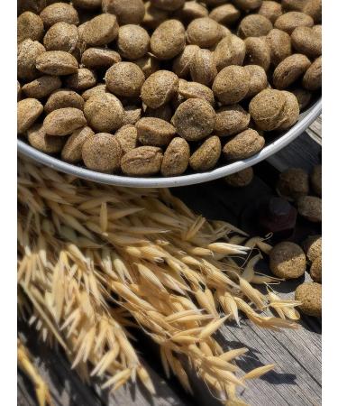 Dog feed 12 kg Fish beef Maxi Adult 25% - Buy Online on GoSupps.com