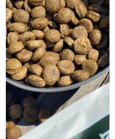 Dog feed 12 kg Fish beef Maxi Adult 25% - Buy Online on GoSupps.com