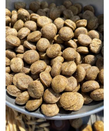 Dog feed 12 kg Fish beef Maxi Adult 25% - Buy Online on GoSupps.com