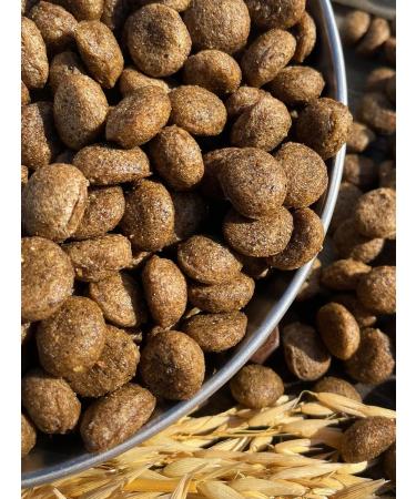 Dog food dry 350 g Fish 24% Meatline Maxi Adult 22% - Buy Online on GoSupps.com