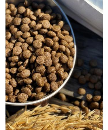 Dog feed 12 kg Fish 24% MEATLINE MEDIUM Adult 22 - Buy Online on GoSupps.com