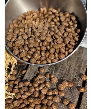 Dog feed 12 kg Fish 24% MEATLINE MEDIUM Adult 22 - Buy Online on GoSupps.com