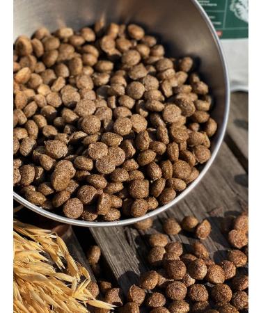 Dog feed 12 kg Fish 24% MEATLINE MEDIUM Adult 22 - Buy Online on GoSupps.com