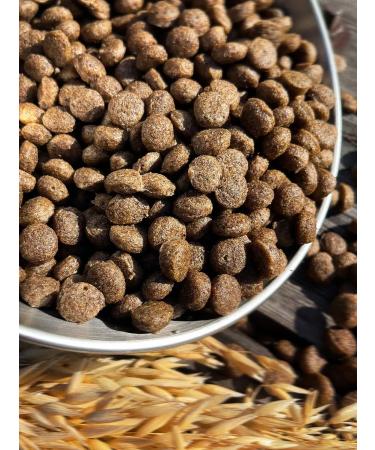 Dog feed 12 kg Fish 24% MEATLINE MEDIUM Adult 22 - Buy Online on GoSupps.com