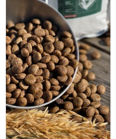 Dog feed 12 kg Fish 24% Meatline Maxi Adult 22% - Buy Online on GoSupps.com