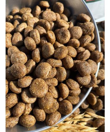 Dog feed 12 kg Fish 24% Meatline Maxi Adult 22% - Buy Online on GoSupps.com