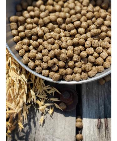 Dog feed 12 kg Fish beef Mini Adult 25% - Buy Online on GoSupps.com