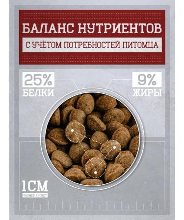Dog feed 12 kg Fish beef Mini Adult 25% - Buy Online on GoSupps.com