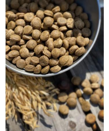 Feed for dogs dry 5 kg fish beef Maxi Adult 25% - Buy Online on GoSupps.com