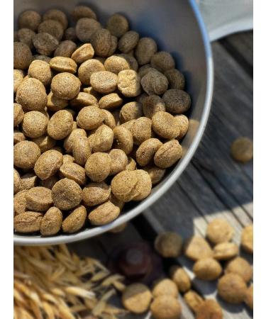 Feed for dogs dry 5 kg fish beef Maxi Adult 25% - Buy Online on GoSupps.com