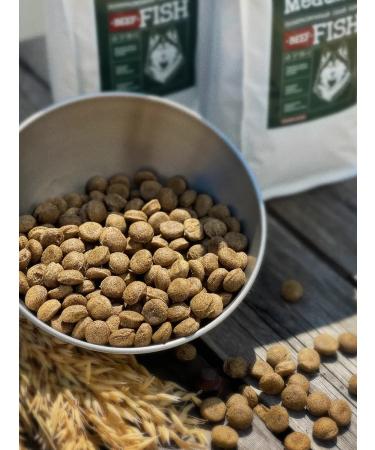 Feed for dogs dry 5 kg fish beef Maxi Adult 25% - Buy Online on GoSupps.com