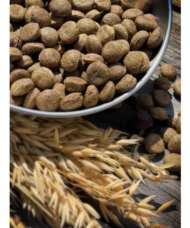 Feed for dogs dry 5 kg fish beef Maxi Adult 25% - Buy Online on GoSupps.com