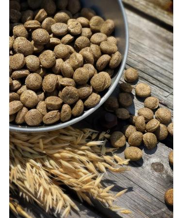 Feed for dogs dry 5 kg fish beef Maxi Adult 25% - Buy Online on GoSupps.com