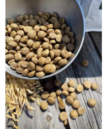 Feed for dogs dry 5 kg fish beef Maxi Adult 25% - Buy Online on GoSupps.com
