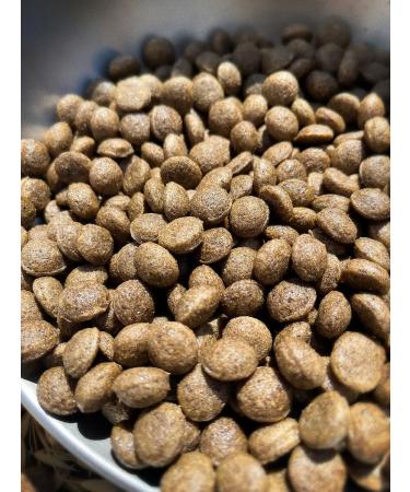 Dog feed 12 kg Fish beef Medium adult 25% - Buy Online on GoSupps.com