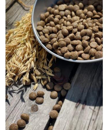 Dog feed 12 kg Fish beef Medium adult 25% - Buy Online on GoSupps.com